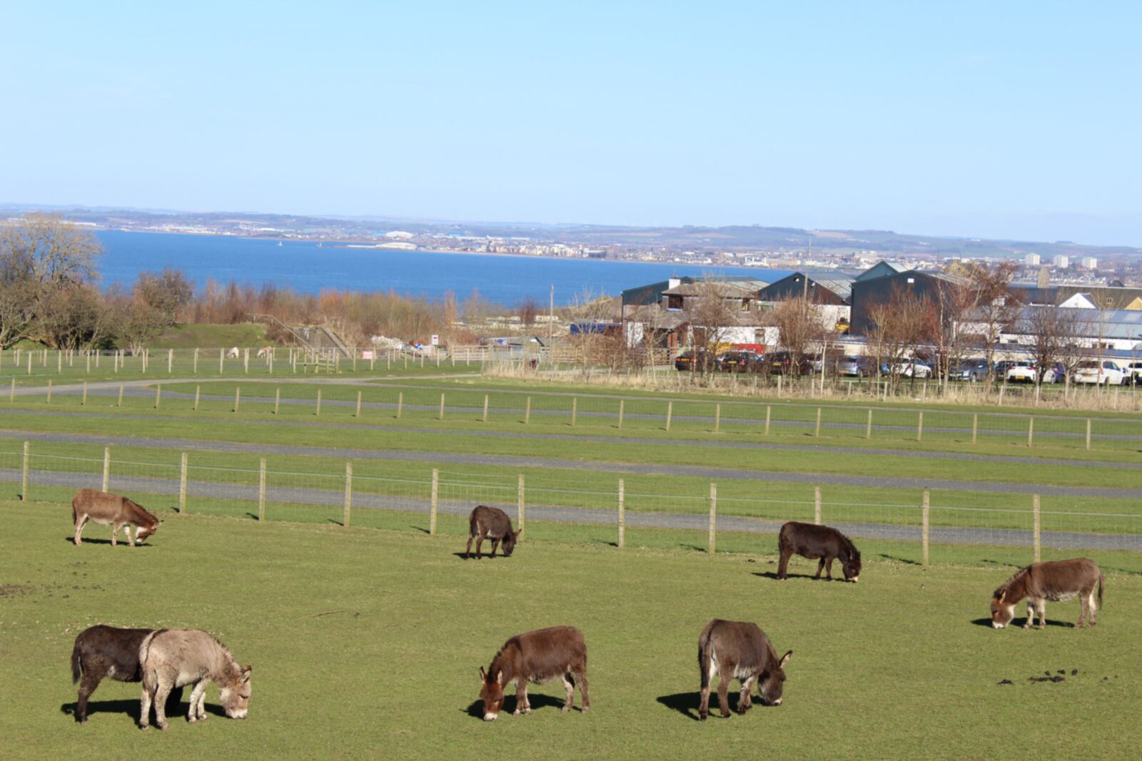 Heads of Ayr Farm Park