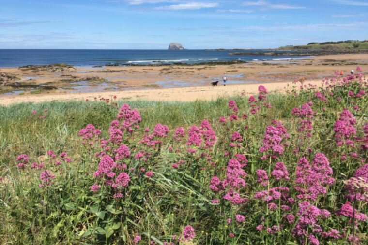 North Berwick